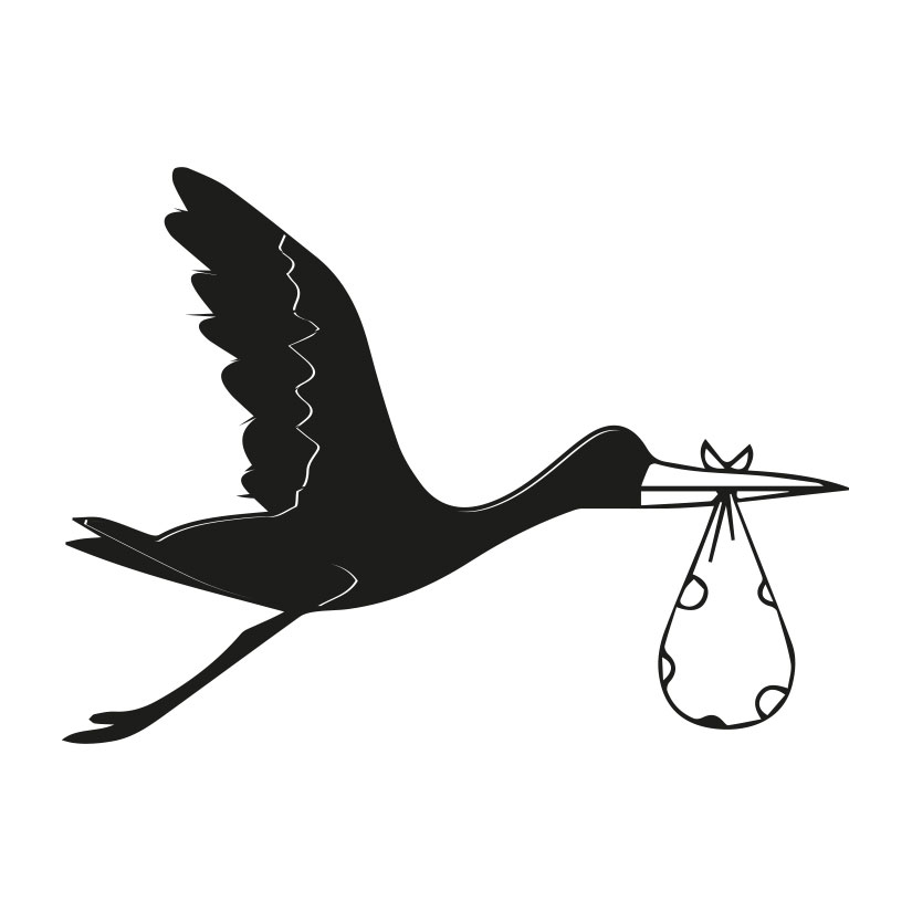 boite à dentssur mesure